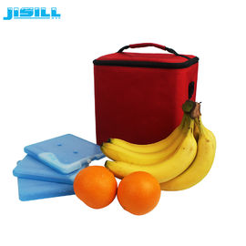 Dispositivo di raffreddamento di plastica riutilizzabile duro su ordinazione dei pack della materia plastica per le borse del pranzo