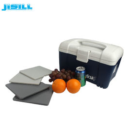 qualità  290ml Fit Fresh Cool Box Ice Packs , Freezer Cool Packs 19*19*1cm Size For Food Frozen fabbrica