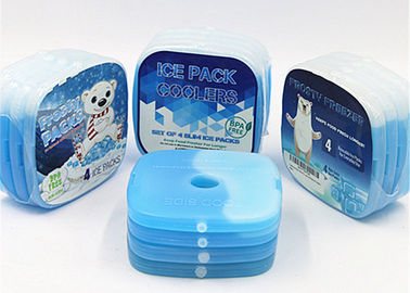 Pack duri del pranzo dell'isolamento del singolo foro con i mini elementi refrigeranti del gel del PCM