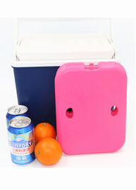 Blu Medium Cooler Blocchi di ghiaccio gel congelabile Cold Packs Hard Shell BPA Free For Food Frozen