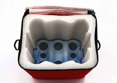 BPA liberano i pacchetti non tossici della gelata del dispositivo di raffreddamento che raffreddano la misura del gel &amp; i pack freschi