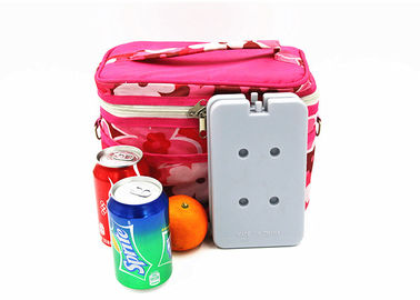 Plastico libero da BPA riutilizzabile Blue Ice Cooler Packs Freezer Blocks Portable For Food Frozen