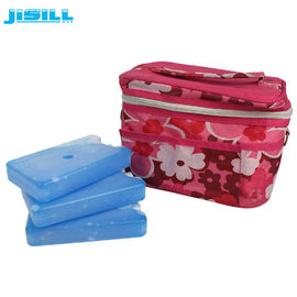 CPSIA Reusable Fan Ice Pack Forte sigillamento per picnic e barbecue all' esterno per alimenti surgelati