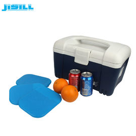 Il gel di plastica del congelatore del pack riutilizzabile di SAP/CMC imballa per la scatola più fresca