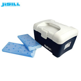 Grande mattone congelato riutilizzabile portatile del dispositivo di raffreddamento del piatto del ghiaccio/ghiaccio per la logistica della medicina
