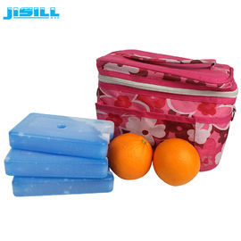 FDA approvato HDPE Hard Plastic Cooler Gel Ice Pack Camping Cibo surgelato Per il sacchetto refrigerante Per il cibo surgelato