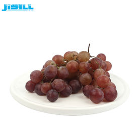Gel di raffreddamento rotondo piatto freddo congelatore per frutta e cibo fresco, contenuto 860 ml per alimenti congelati