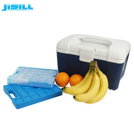 Impacchi di ghiaccio refrigeranti di grandi dimensioni in HDPE per uso alimentare riutilizzabili blu con manico